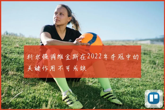 科尔强调维金斯在2022年夺冠中的关键作用不可或缺